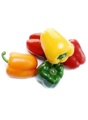 Capsicum