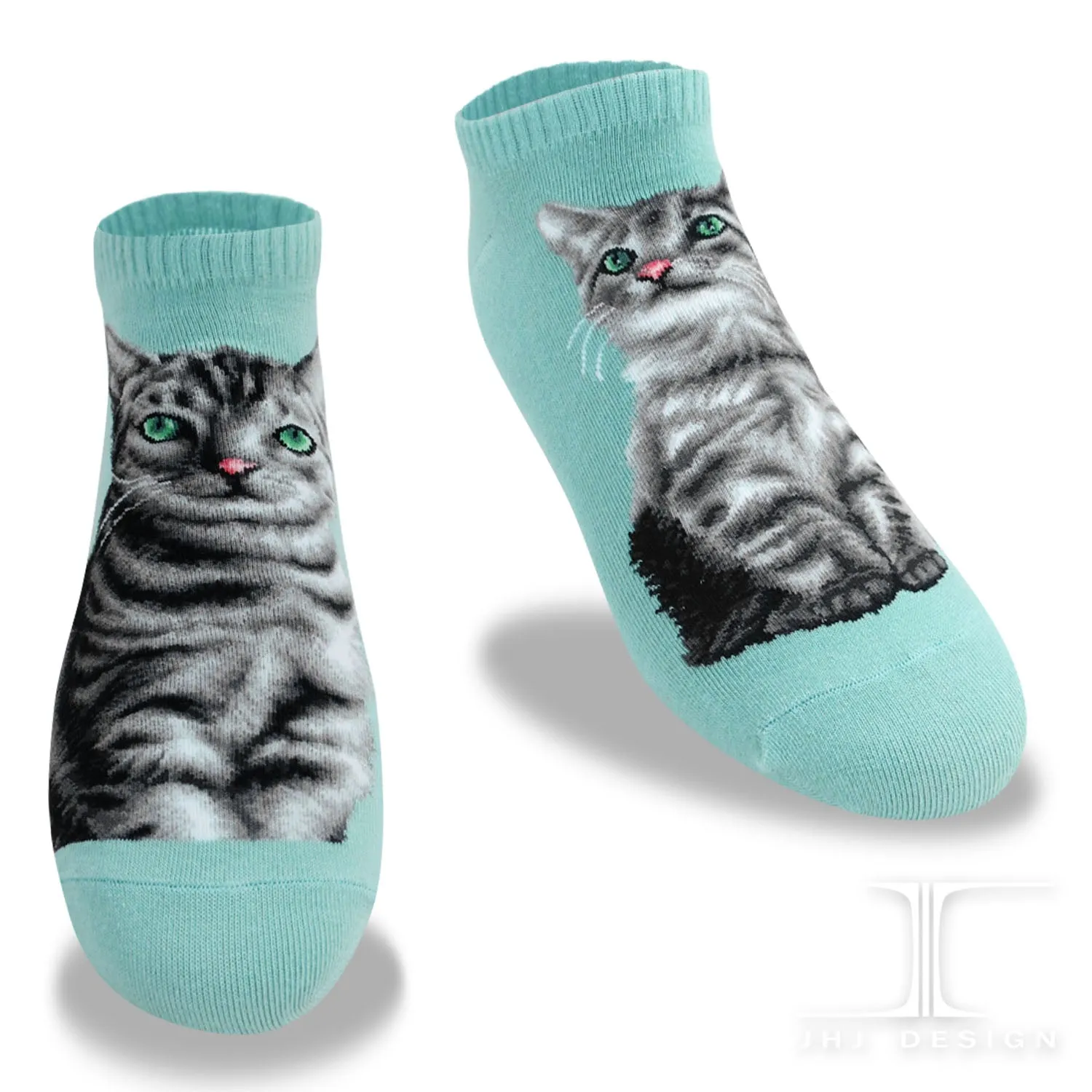 Cat Ankles - American Shorthair