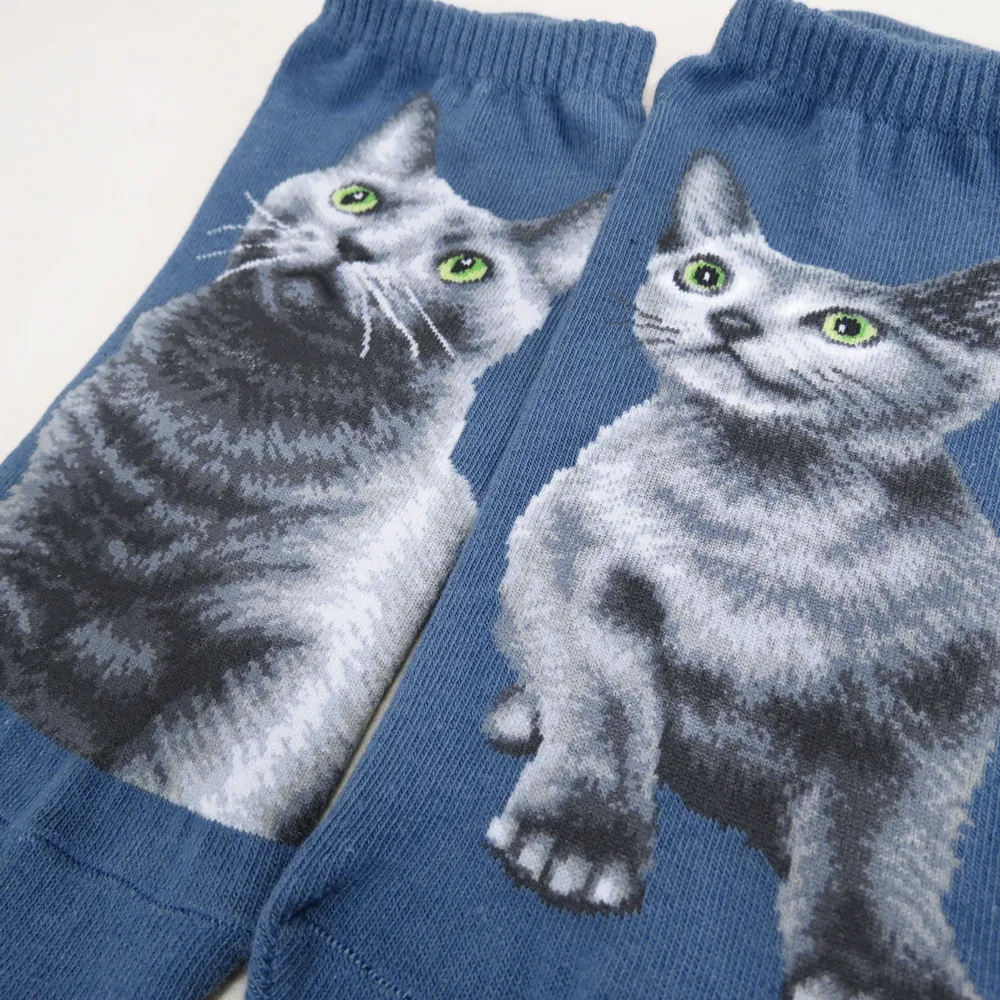 Cat Ankles - Russian Blue