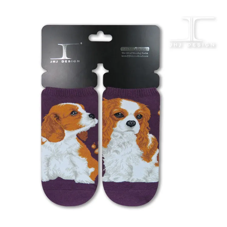 Dog Ankles - Cavalier King Charles