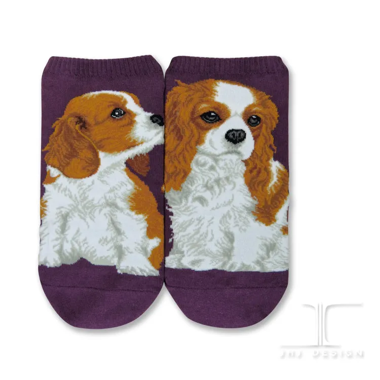 Dog Ankles - Cavalier King Charles