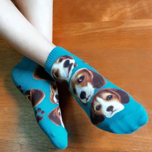 Dogs Ankles - Beagle Pup Face