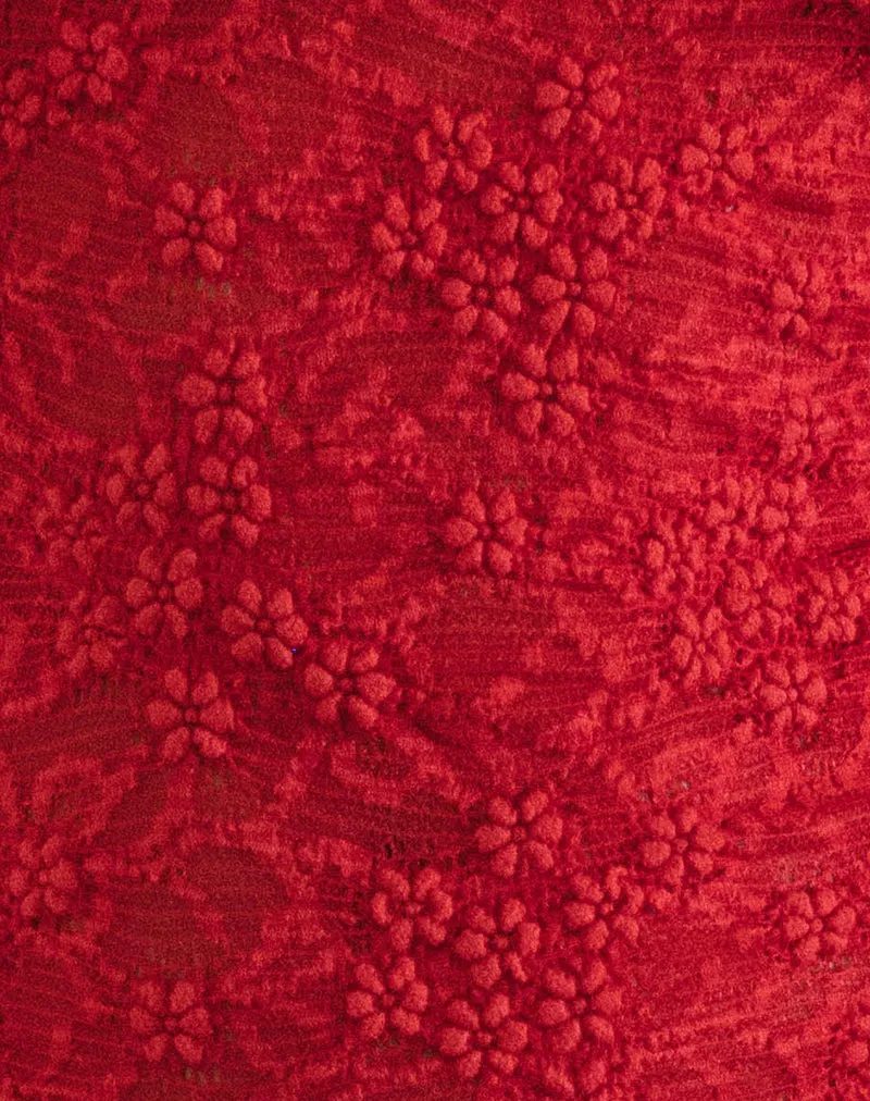 Ismene Mini Dress in Unlined Lace Red