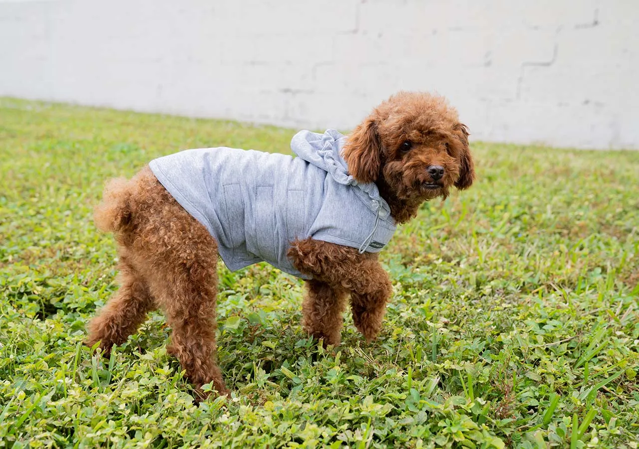 Pet Vest Jacket - EMF Radiation Protection (by DefenderShield)  *NEW ITEM!*