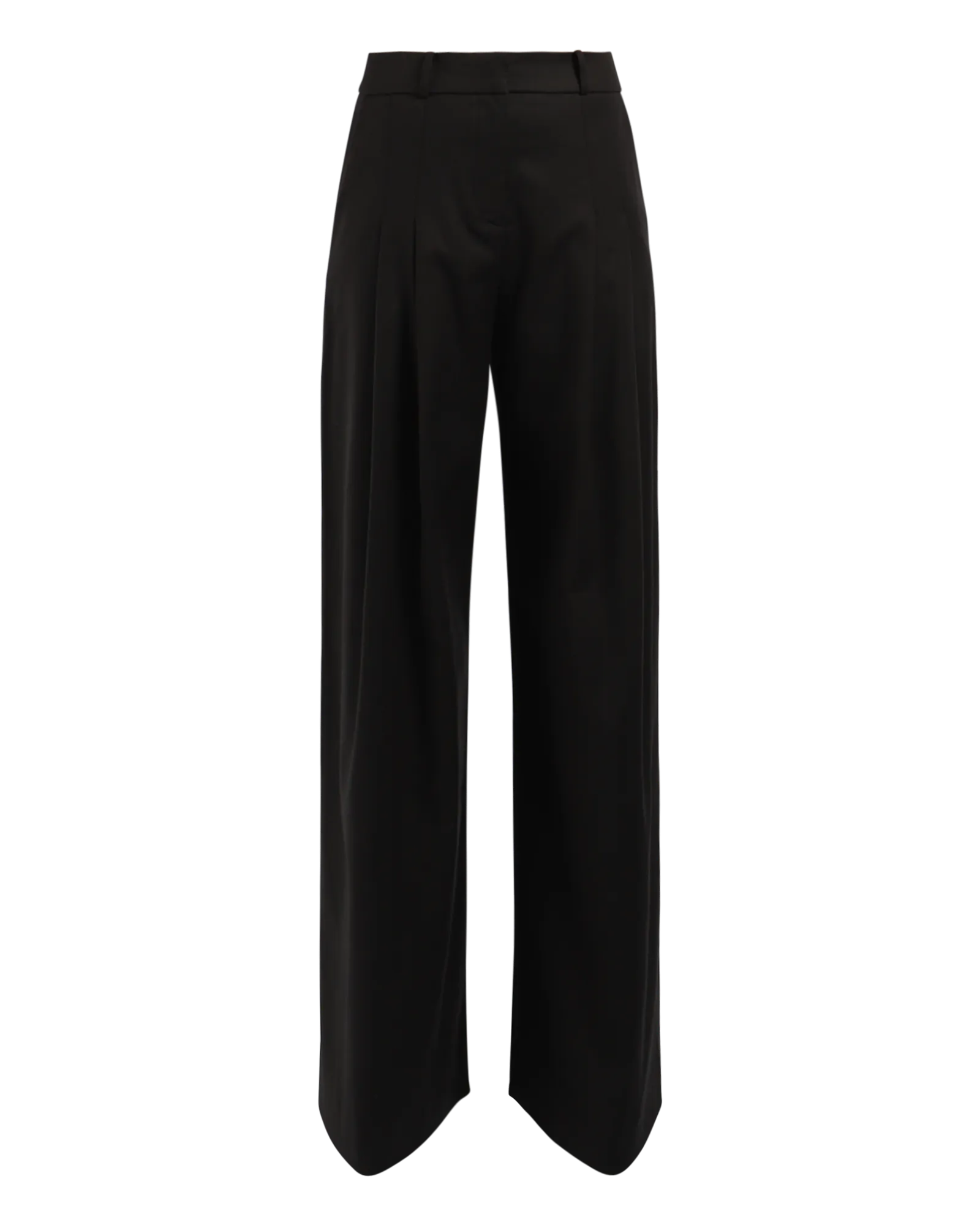 Pleated Trousers